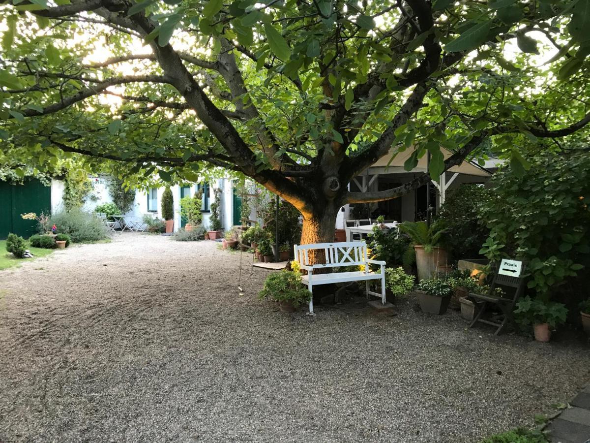Ferien- Und Messewohnung In Меербуш Екстериор снимка